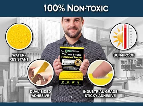 MaxGuard (20 Pack) Yellow Sticky Hanging Traps - Catch and Kill Fungus Gnats, Whiteflies, Mosquitos, Aphids, Leaf Miners, Flying Insect Catcher Glue Trappers for Indoor or Outdoor