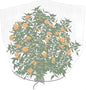 Agfabric Bird Netting 26" Hx30 W Garden Netting Insect Pest Barrier,Plant Cover Fruit Tree Netting Mesh Protection Bag with Drawstring,White - color: 1pack, size: 26"x30"