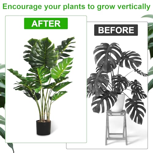 COMNICO Plant Stem Support 6 Pcs Monstera Durable Metal Plant Holder Stakes