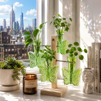 Nacome Plant Terrarium Propagation Stations: Green Vase with Wooden Stand - color: Green