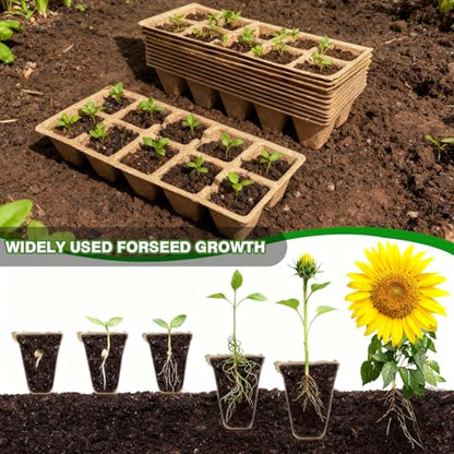 240 Cells Seed Starter Tray, Plant Starter Kit for Seedlings