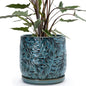 D'vine Dev Embossed Leaves Ceramic Planter, 8 in, Ocean Teal, 27-A-Q-8 - color: Ocean Teal, size: 8 Inch