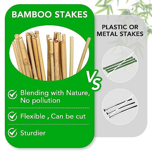 SWANGSA 55 Pack Bamboo Stakes for Plant 3 Feet, Bamboo Sticks for Garden Plant Support Stakes Poles for Tomatoes, Beans, Flowers, Potted Plants, Indoor and Outdoor Climbing Plants - size: 3 Feet - 55 Pack