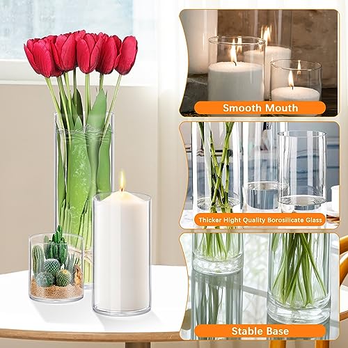 Homjoy Glass Cylinder Vase Sets 16 Pack (2.17x4, 2.56x6, 3.15x8, 3.55x10IN) - size: 16 Pack (4,6,8,10 Inch )