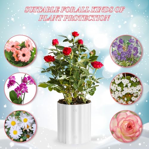 Queekay 20 Pcs Rose Cones Winter Protection Plant Covers Outdoor,White