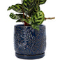 D'vine Dev Embossed Leaves Ceramic Planter, 8 in, Midnight Blue, 27-A-Q-3 - color: Midnight Blue, size: 8 Inch
