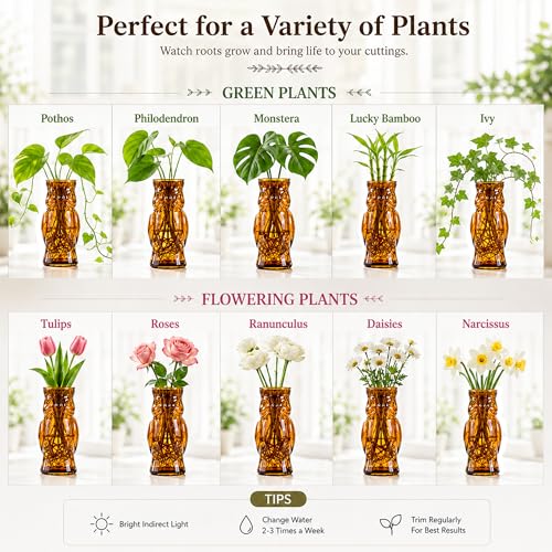 Nacome Owl Plant Propagation Station: Set of 4 Cute Brown Glass Vases - color: Brown