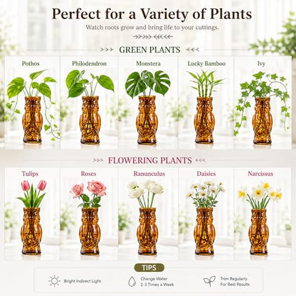 Nacome Owl Plant Propagation Station: Set of 4 Cute Brown Glass Vases - color: Brown