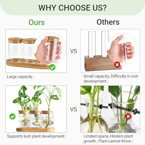 Dahey Plant Propagation Stations, 4 Pcs Glass Vases with Wooden Stand & Lid - color: Brown, Clear, size: Large