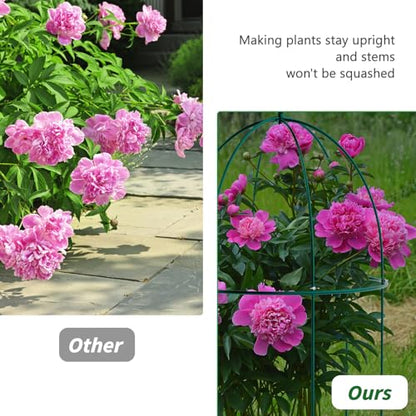 3 Pack Metal Plant Cage Support, 31.5" H Peony Support - size: 31.5"H x 15.7"W