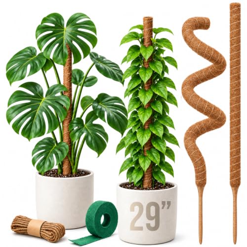Craft911 29" Moss Pole Monstera Plant Support, Indoor Plant Stakes - size: 2-Pack (29 in)