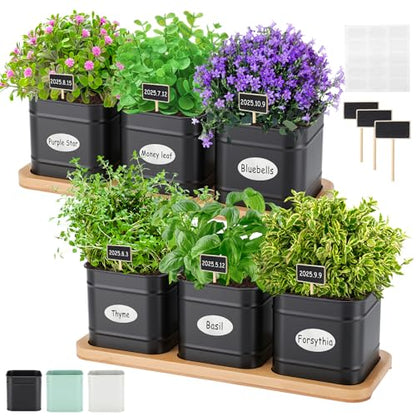 LemonRoad 6 Pcs Indoor Herb Planter Window Herb Pots for Kitchen with Drainage Hole and Bamboo Tray Farmhouse Metal Garden Planter Pot with DIY Label Mom Plant Gift(Black,Square)
