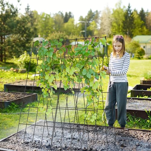 Cucumber Trellis 2 Pack,Foldable A-Frame Garden Trellis - color: Steel Black, size: 39.4" H