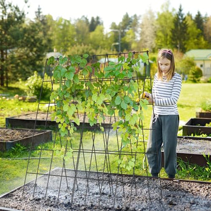 Cucumber Trellis 2 Pack,Foldable A-Frame Garden Trellis - color: Steel Black, size: 39.4" H