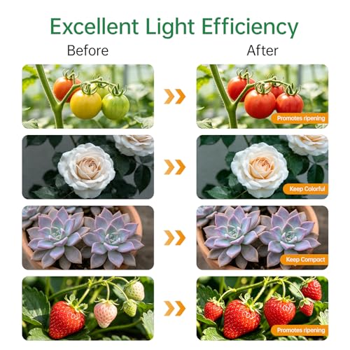 Grow Lights for Indoor Plants, Plant Light for Succulent, Seedlings