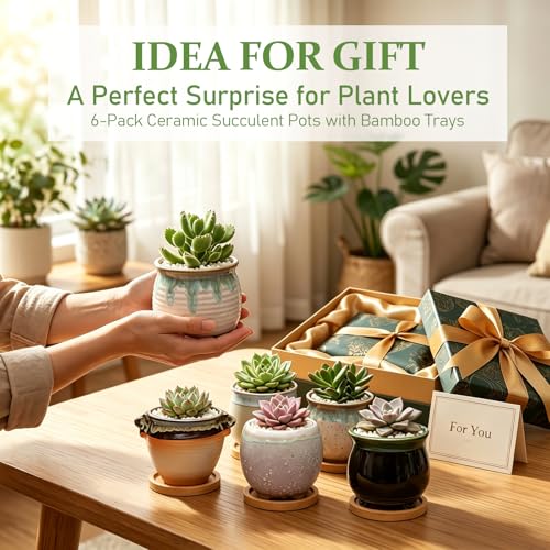 3.5 Inch Succulent Pot with Drainage,Planting/Flower Pots - size: 3.5inch-6pack