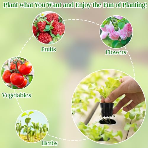 ZeeDix 2 Inch Net Pots for Hydroponics 50 Pack Net Cups Hydroponic Baskets - color: Black - 50 Pcs