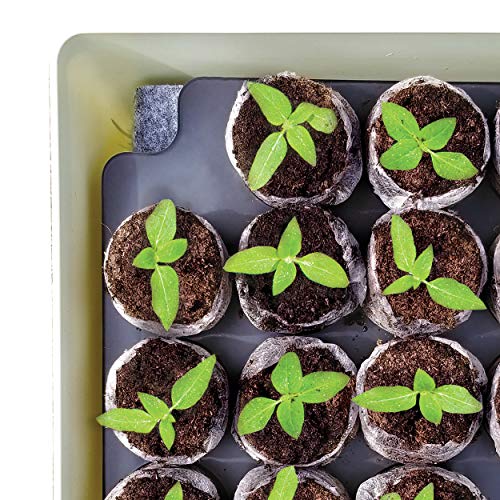 Jiffy Seed Starter Tray Kit, Self-Watering, Seedling Tray, 4 Pack - size: 4 Pack