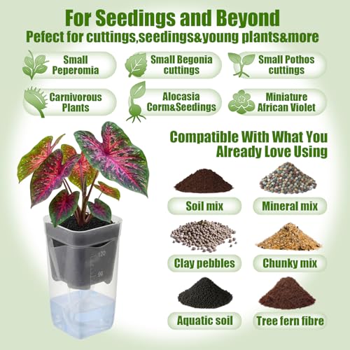 LemonRoad 20 Pack 2" Small Self Watering Pots for Indoor Plants - size: 2"