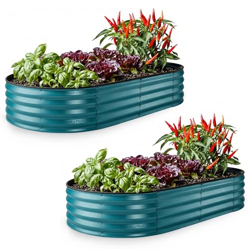 Plant & Plot Galvanized Raised Garden Beds Outdoor // 6×3×1 ft (2-Pack) Planter Raised Beds for Gardening, Vegetables, Flowers // Large Metal Garden Box // Patented Tool-Free Design (Turquoise) - color: Turquoise, size: 6×3×1 Ft (2-pack)