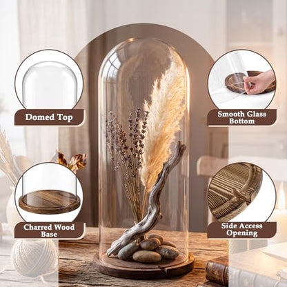 22'' × 8.66'' Glass Dome Cloche Display with Wood Base, Clear Display Jar - size: 8.66''×22''