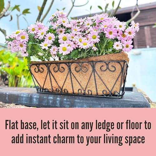 LaLaGreen Metal Wall Planter (16 in, 2 Pack) Black Coco Liner Flower Boxes - size: 16" (41cm)x2 Pack
