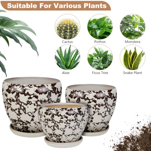 Ceramic Plant Pots With Saucer & Drainage Hole, 10 inch Indoor Flower Pots - color: White, size: 10 inch