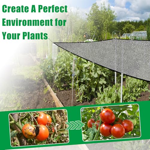 SPORTYOUTH Shade Cloth, 40% Black Sunblock Cover for Garden, 6x50 Ft Mesh Tarp with Grommets UV Resistant for Outdoor Greenhouse, Plants Vegetables Growing, Patio, Chicken Coop, Yard - size: 6x50ft