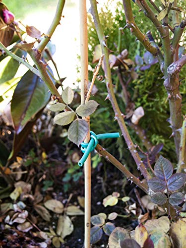 Luster Leaf 868 0868 Soft Stretch Tie, 100', Green