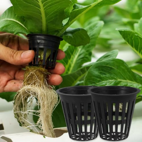 Toddmomy Hydroponic Grow Baskets 5-Pack 2.16X1.96X1.18 in Slotted Mesh Net Cups for Root Aeration Seed Starting Vegetables Orchids Aquaponics Plant Starter Containers