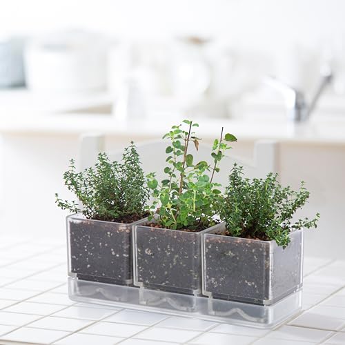 D'vine Dev 2-Pack Acrylic Herb Garden Planter Set, Clear, 76-V-D-2 - color: Clear, size: 24"