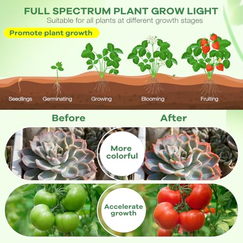 led Grow Lights