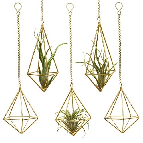 SZRUIZFZ Geometric Hanging Tillandsia Holder Gold Metal Air Plants Holders Hanging for House Decor Living Room Small Plant Holders Indoor Hanging Plant Lover Gifts (5Pcs) - color: Gold