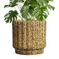 Ceramicfor Ceramic Planter, 9.6 Inch, Yellow - color: Leopard Print Yellow, size: 9.6 Inch