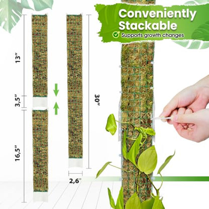 DUSPRO 2 Pack 16.5" D-Shaped Plastic Stackable Moss Poles - color: Plastic D shaped