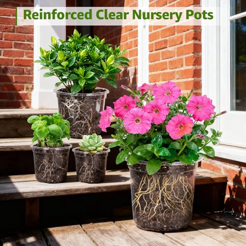 MIXC Clear Nursery Pots with Drainage Holes, 5/4/3.5 Inch 30 Pack - size: 3.5/4/5 Inch-30 Pack