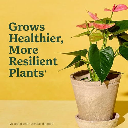 Miracle-Gro Indoor Plant Grow, Feed & Protect Houseplant Care Bundle - size: 6 qt (2-Pack)
