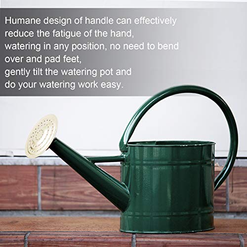 1.3 Gallon Jade Green Metal Watering Can, Removable Spout - color: Green, size: 1.3 Gallon