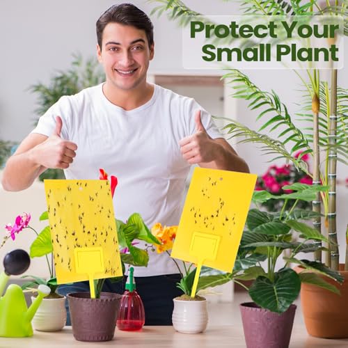 Qualirey 300 Pcs 6 x 8 in Yellow Sticky Traps for Gnats Plant Insect Trap - color: Yellow