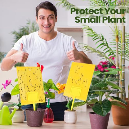 Qualirey 300 Pcs 6 x 8 in Yellow Sticky Traps for Gnats Plant Insect Trap - color: Yellow