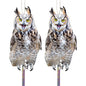 2PCS Flat Plastic Owls to Keep Woodpecker Away from House - color: Light Grey Owl 2pcs
