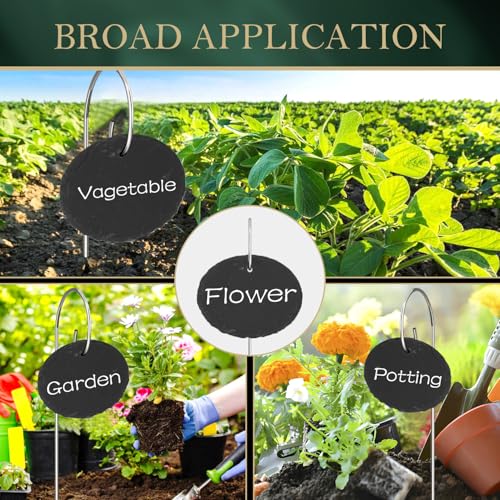 10-Pack Marble Oval Garden Markers,Weatherproof Metal Plant Labels Large Planting Seedling Stake Signs, for Seedlings Herbs Vegetable Greenhouse Gifts with White Marker Pen Labels - color: Marble Oval