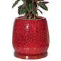 10.3 Inch Ceramic Glaze Plant Pot with Saucer, Flower Pots with Drainage Hole Mesh Net (Spot Red) - color: Spot Red
