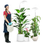 wolezek Grow Lights for Indoor Plants Full Spectrum, 80 LEDs Grow Light - color: White - 2 Pack