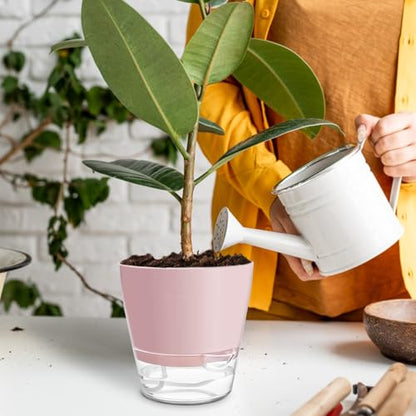 Hayder Plant Pots 6 inch Set of 6, Self Watering Flower Pots - color: Mixed Color