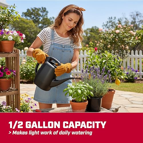 CHAPIN 48000 1/2-Gallon Watering Can, Lightweight for Easy Watering - style: 0.5 Gallons, Black