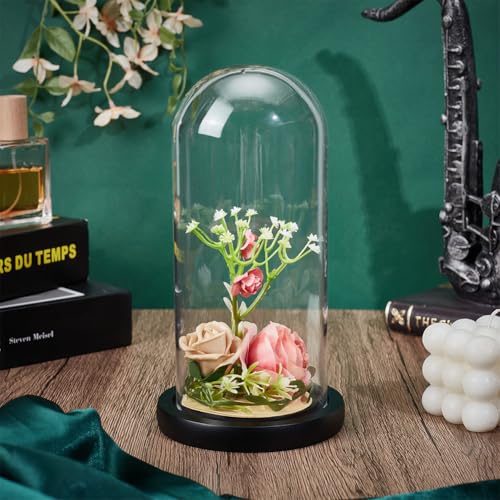 UNICRAFTALE Clear Cloche Glass Dome 7.87"x3.54" Handmade Glass Cloche Antique Collectibles Dome Showcase Decorative Bell Jar for Plants Medals Photos Fairy Lights Table Decor - size: 9x20cm