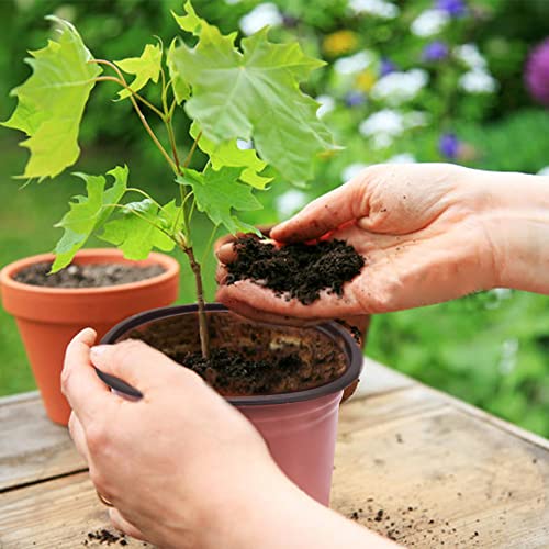 HOSTIC 6.6 Inch Nursery Pot Seedling Pot Plant Container Seed Starting Pots Multipurpose Plastic Pots 100 Packs - size: 6.6 Inch