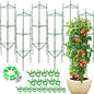 6 Pack Tomato Cage for Garden & Pots, Rust-Resistant Metal Plant Support