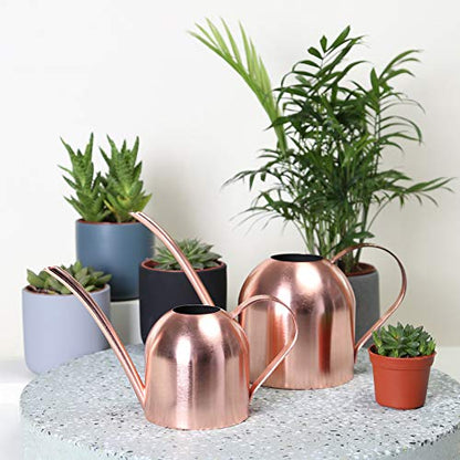Watering Can for Indoor Plants, 30oz Long Spout Stainless Steel - size: Rose Gold 30 oz